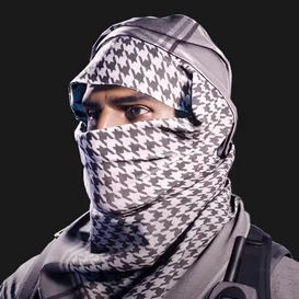 Insurgency Sandstorm image